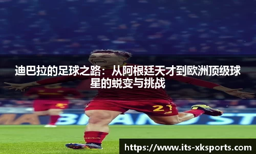 星空体育